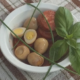 Aligátortojás