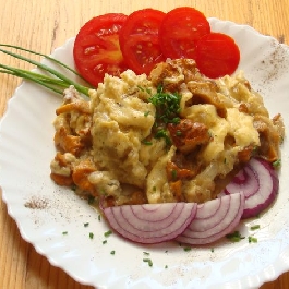 Rókagombás rántotta